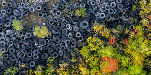¿Qué es la ley REP?
